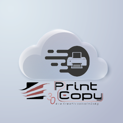 Print Copy - Ricoh MP C3003SP